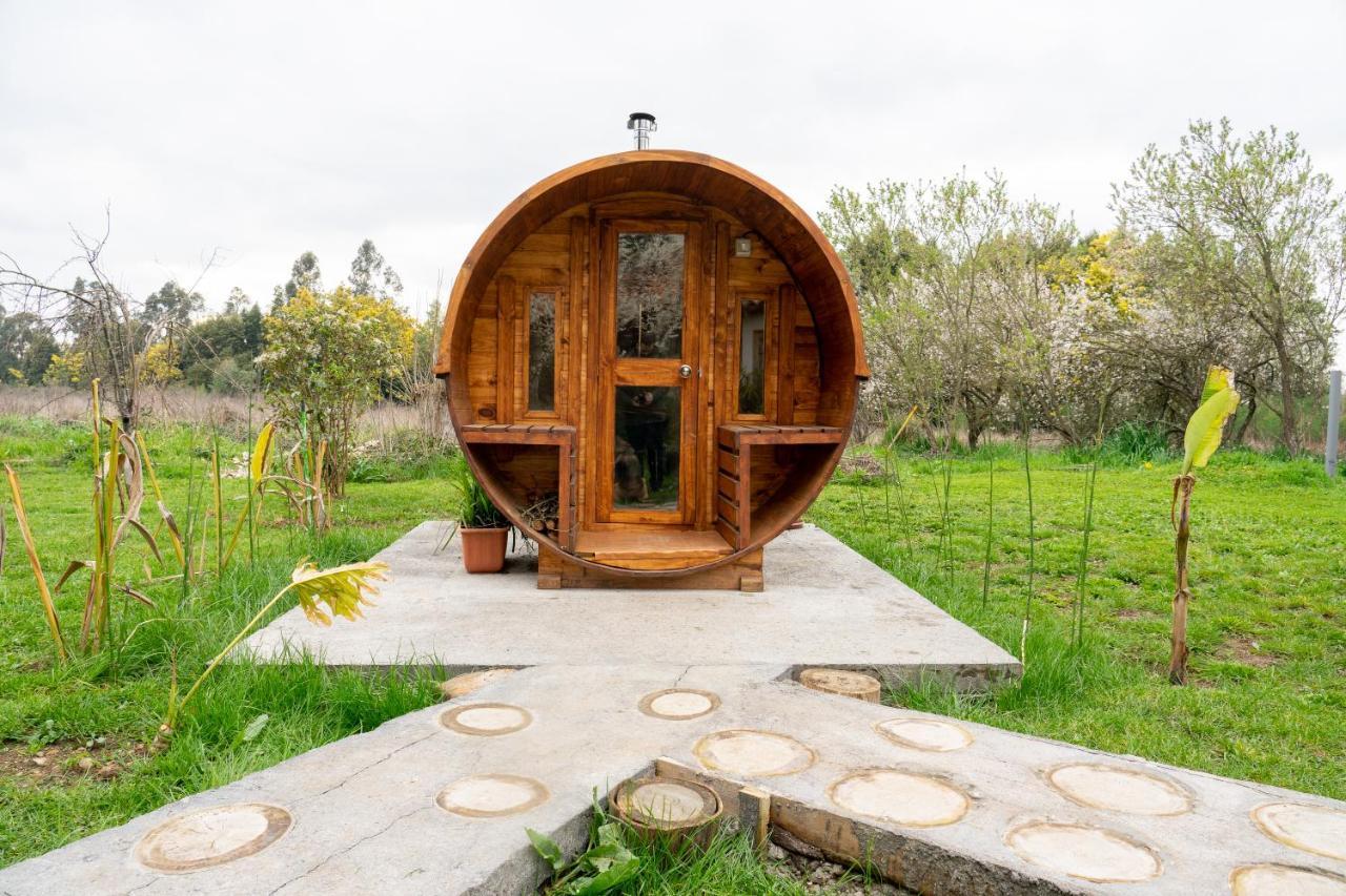 La Casa De Adobe Natural Y Mas Bulnes Exteriér fotografie