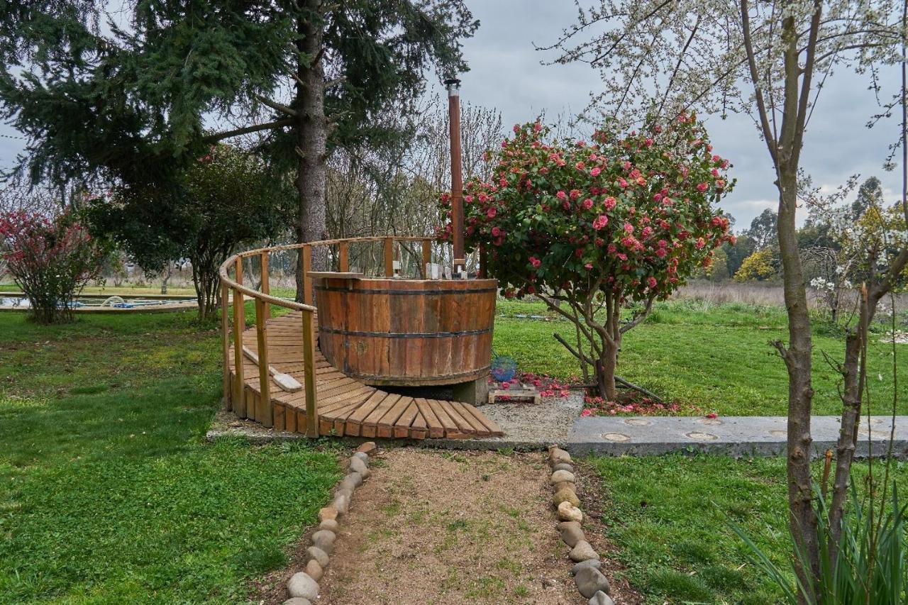 La Casa De Adobe Natural Y Mas Bulnes Exteriér fotografie