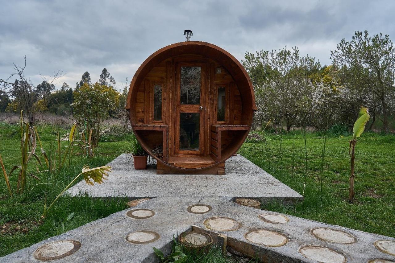 La Casa De Adobe Natural Y Mas Bulnes Exteriér fotografie