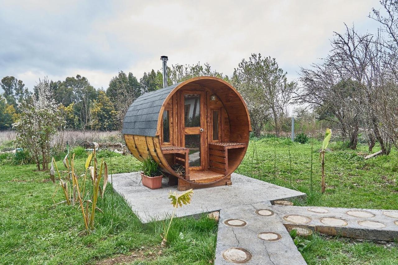 La Casa De Adobe Natural Y Mas Bulnes Exteriér fotografie