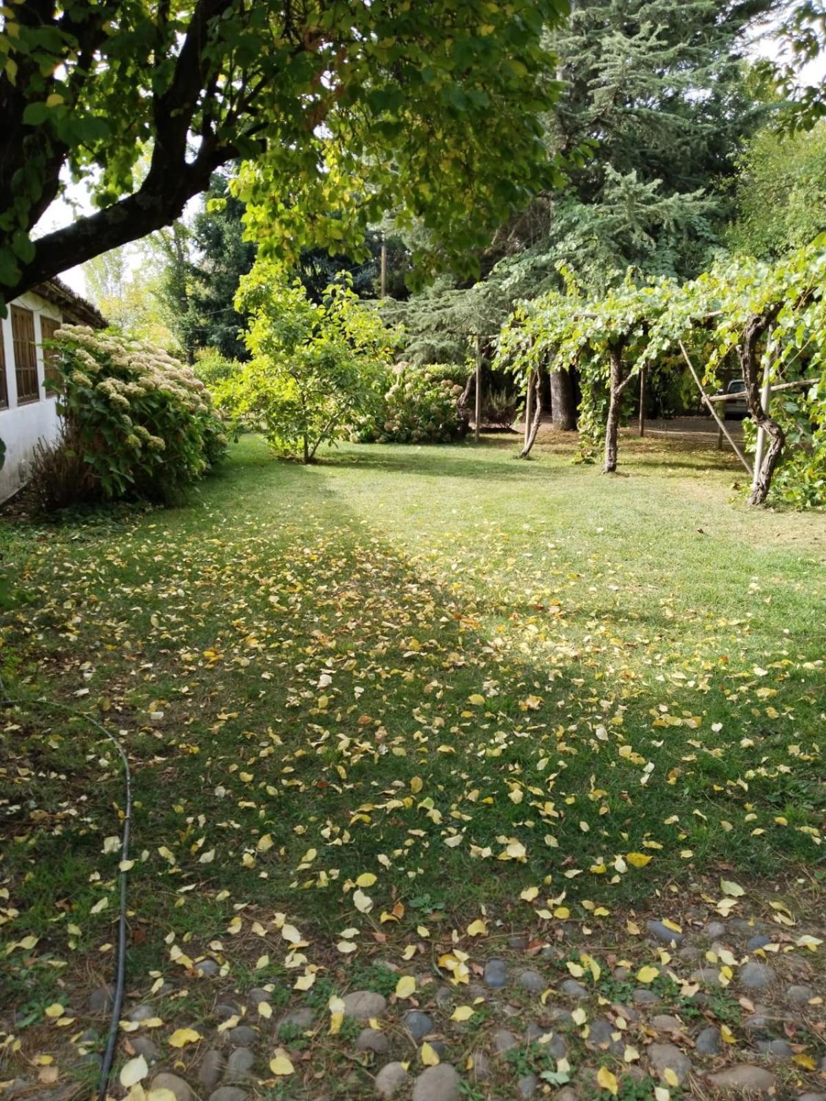 La Casa De Adobe Natural Y Mas Bulnes Exteriér fotografie